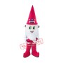 Friendly Christmas Elf Mascot Costume