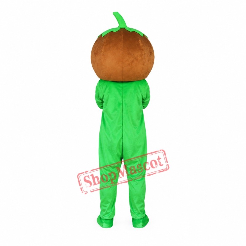 Affordable Green Pumpkin Mascot Costume