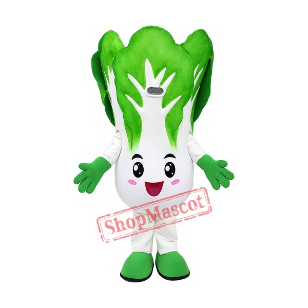 Superb Cabbage Mascot Costume