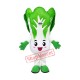 Superb Cabbage Mascot Costume Superb Cabbage Mascot Costume