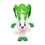 Superb Cabbage Mascot Costume
