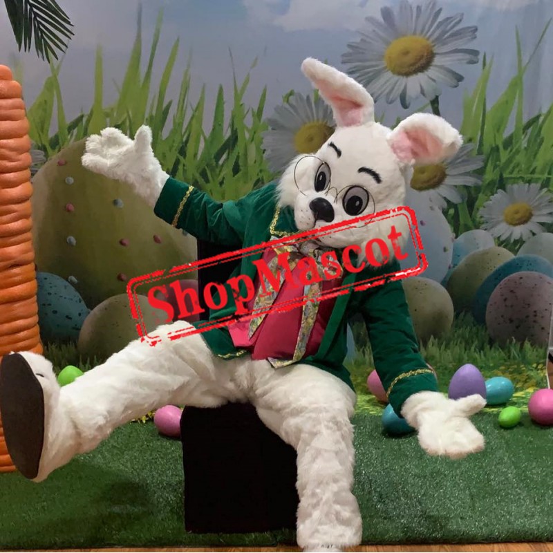 Funny Wendell Easter Rabbit Bunny Mascot Costume