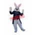 Friendly Lightweight Easter Bunny Rabbit Mascot Costume