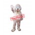 Friendly Lightweight Sea Lion Mascot Costume