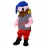 Friendly Realistic Pirate Mascot Costume