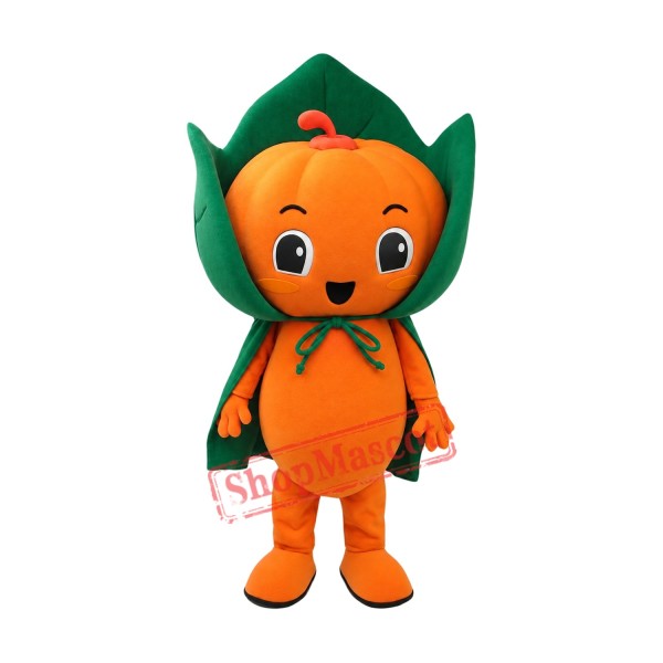 Friendly Pumpkin Boy Mascot Costume