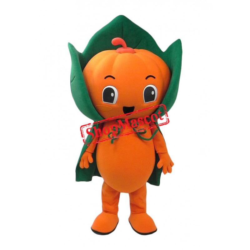 Friendly Pumpkin Boy Mascot Costume