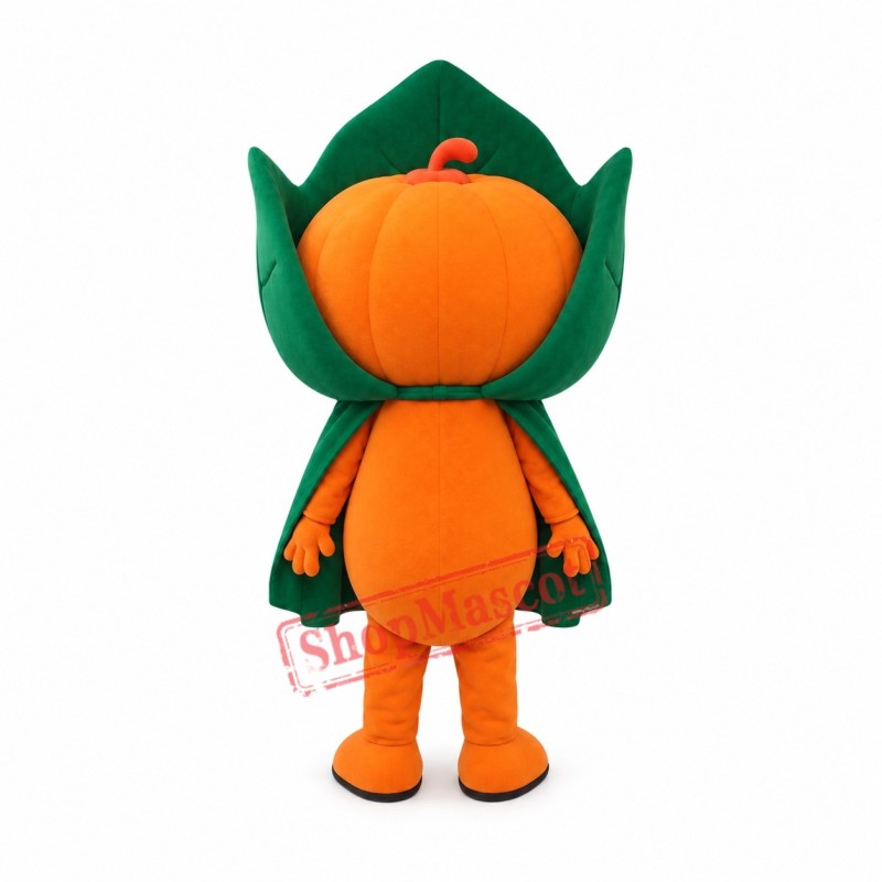 Friendly Pumpkin Boy Mascot Costume Friendly Pumpkin Boy Mascot Costume