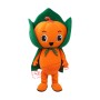 Friendly Pumpkin Boy Mascot Costume