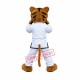 Kung Fu Leopard Mascot Costume Kung Fu Leopard Mascot Costume
