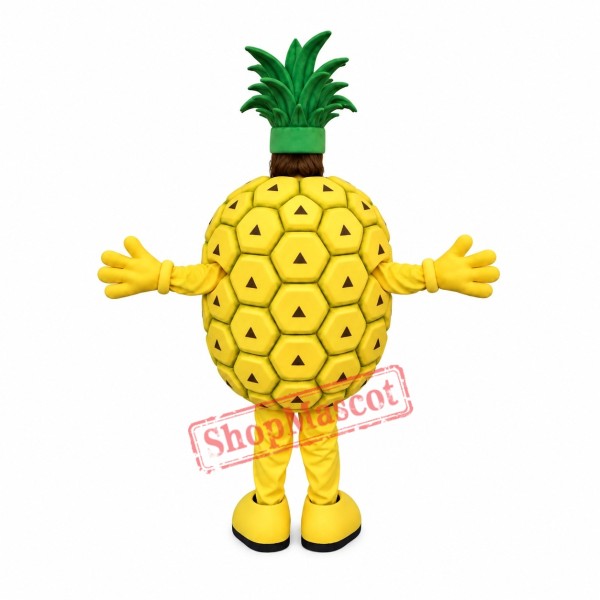 Superb Lightweight Ananas Mascot Costume Superb Lightweight Ananas Mascot Costume