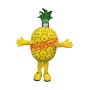 Superb Lightweight Ananas Mascot Costume