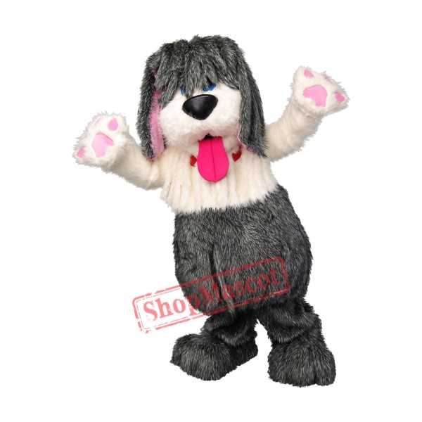 Friendly Plush Dog Mascot Costume Friendly Plush Dog Mascot Costume