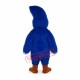 Realistic Blue Jay Mascot Costume Realistic Blue Jay Mascot Costume