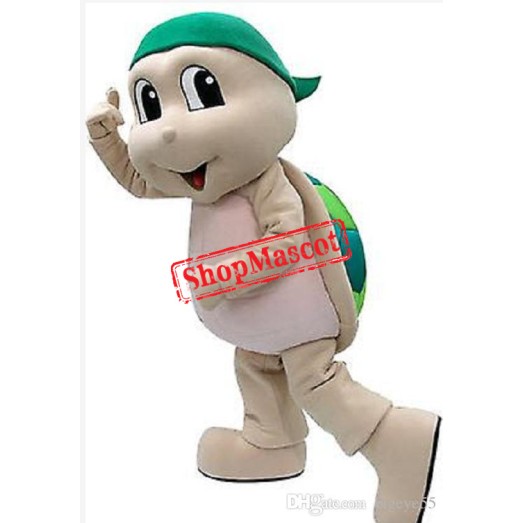 Turtle Boy Mascot Costume