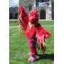 College Realistic Phoenix Mascot Costume