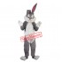 Hot Professional Easter Bunny Mascot Costumes Rabbit and Bugs Bunny Adult mascot for sale