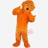 Boy Funny Lion Mascot Costume Adult Size Cartoon Lion Costumes