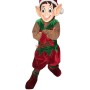 Superb Christmas Elf Mascot Costume