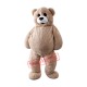 Funny Dance Teddy Bear Mascot Costume Funny Dance Teddy Bear Mascot Costume