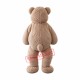 Funny Dance Teddy Bear Mascot Costume Funny Dance Teddy Bear Mascot Costume