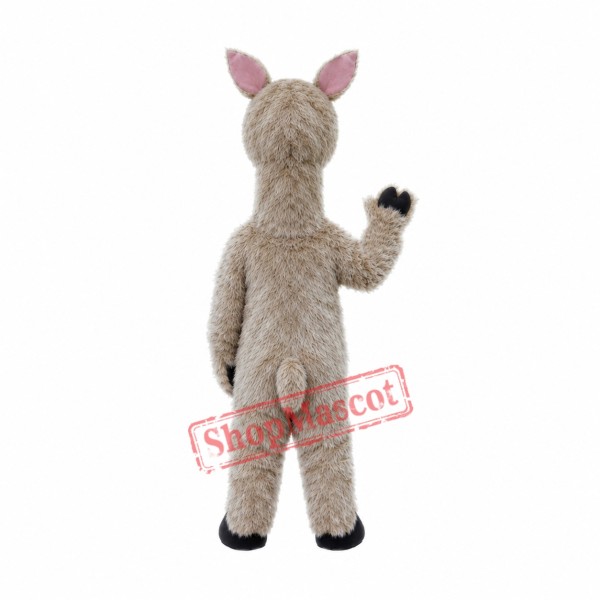 Cute llama Mascot Costume