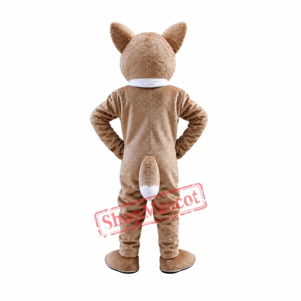 Cute Raccoon Mascot Costume Cute Raccoon Mascot Costume