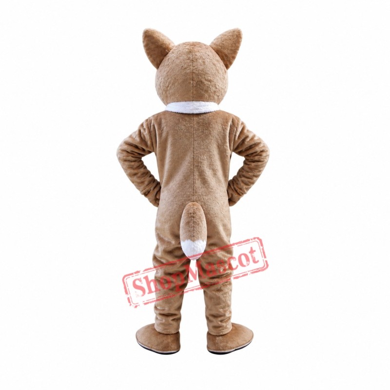Cute Raccoon Mascot Costume Cute Raccoon Mascot Costume