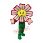 Red Flower Mascot Costume