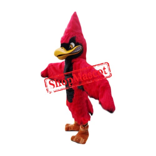 Superb Red Jay Mascot Costume