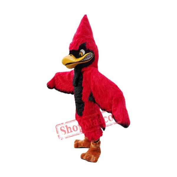 Superb Red Jay Mascot Costume