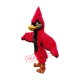 Superb Red Jay Mascot Costume Superb Red Jay Mascot Costume