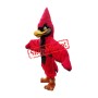 Superb Red Jay Mascot Costume
