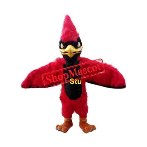 Superb Red Jay Mascot Costume