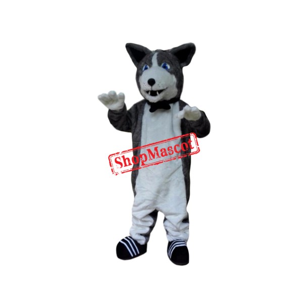 Superb Husky Mascot Costume