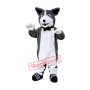 Superb Husky Mascot Costume