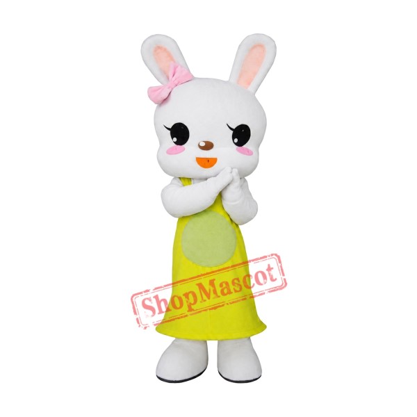 Affordable Rabbit Mascot Costume