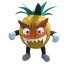 Fierce Pineapple Mascot Costume