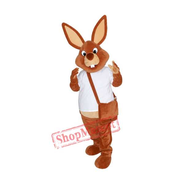 Superb Brown Rabbit Mascot Costume