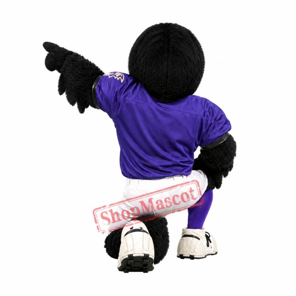 Sport Lightweight Raven Mascot Costume
