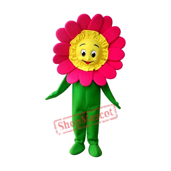 Affordable Flower Mascot Costume
