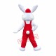 Bob Bunny Mascot Costume Bob Bunny Mascot Costume