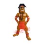 Indian Warrior Mascot Costume