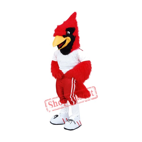 Superb Sport Cardinal Mascot Costume