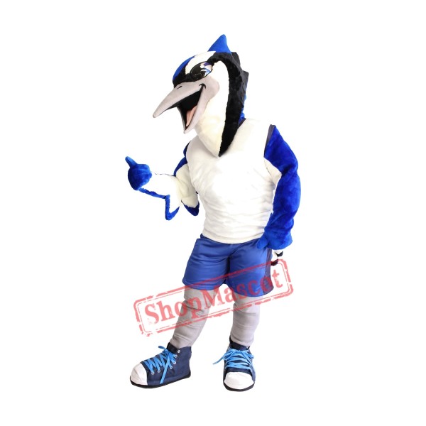 Sport Blue Jay Mascot Costume