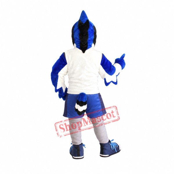 Sport Blue Jay Mascot Costume Sport Blue Jay Mascot Costume