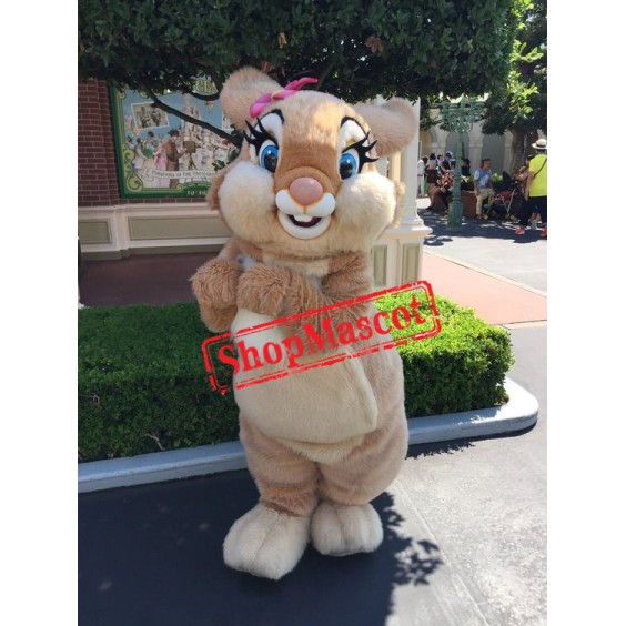 Miss Bunny Mascot Costume