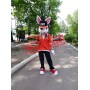 Superb White Rabbit Mascot Costume