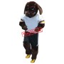 Superb Sport Dog Mascot Costume