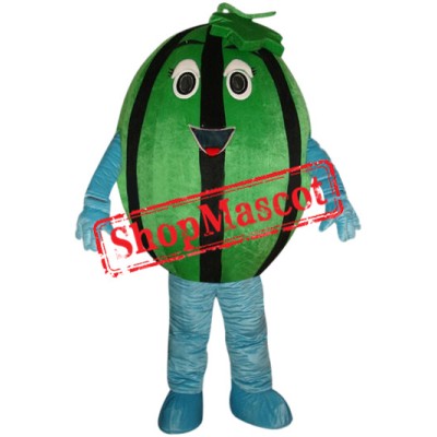 Affordable Watermelon Mascot Costume